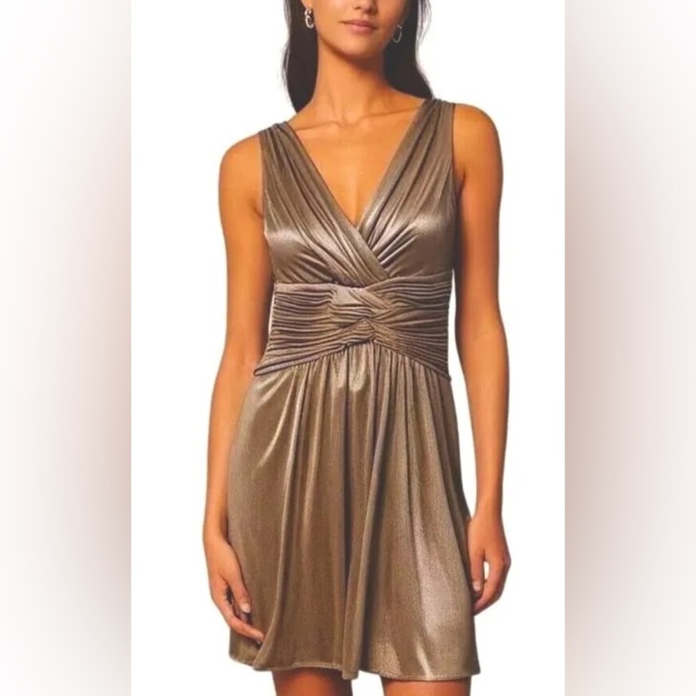 BCBGMaxAzria Bronze Sleeveless Dress